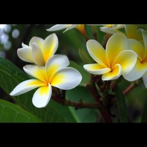 Meet your Posher, Kristin